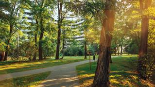 Piasta Park III