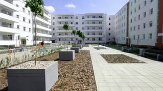 Copernicus Park II