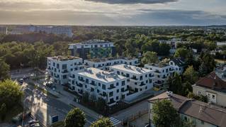 Trójpole