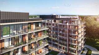 Wyspa Solna