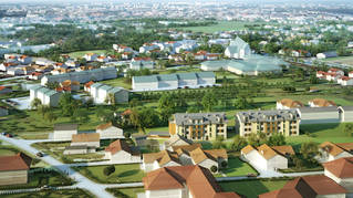 Apartamenty Pasternik
