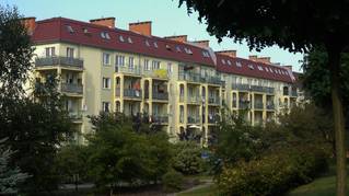 Zielony Romanów