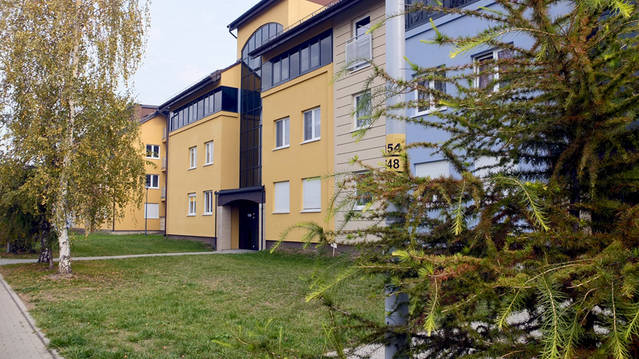 Cichy Gaj etap II