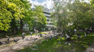 Park Nad Kanałem