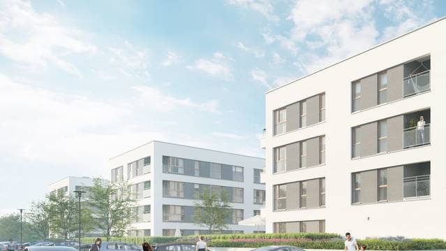 Harcerska 8
