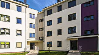 Zielony Wiktoryn