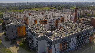 Wilczak 20