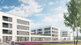 Harcerska 8