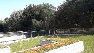 Apartamenty Sabbia