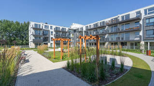 Aura Garden