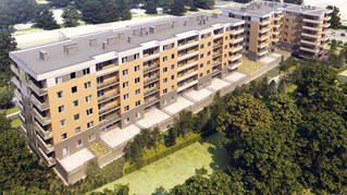 Młodnik