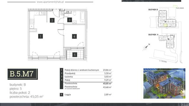 Halo Apartamenty