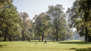 Kameralna Klecina
