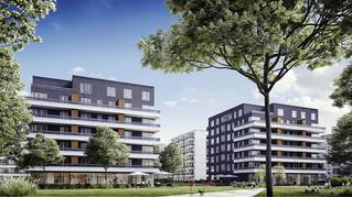 Ursa Home