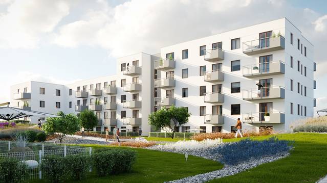 Lawendowe Wzgórza - etap D5 i D6