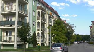 Zielony Romanów