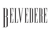 Belvedere Nieruchomości