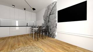 Apartamenty na Wiejskiej