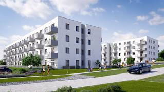 Lawendowe Wzgórza - etap D5 i D6