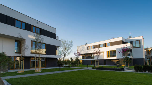 Magnoliowy Ogród