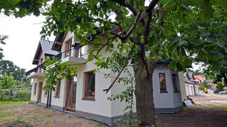 W Klematisach