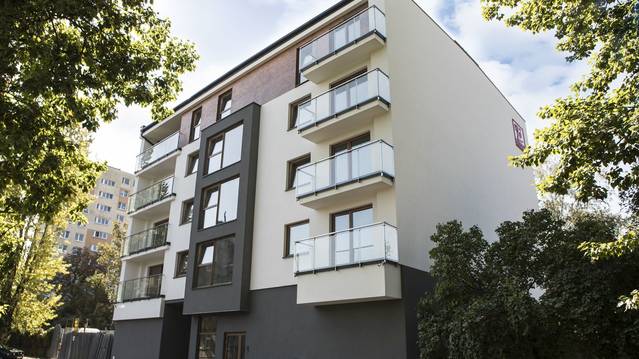 Szara 8
