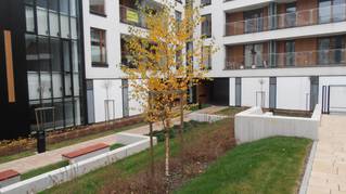 Apartamenty Atmosfera