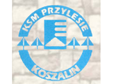 KSM "Przylesie"