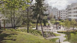 Komandorskie Wzgórze