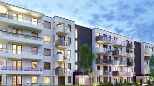 Lawendowe Wzgórza - etap D7 i D8