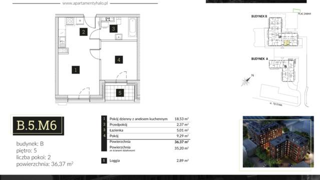 Halo Apartamenty
