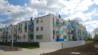 Smardzowska