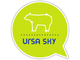 Ursa Sky