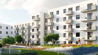 Lawendowe Wzgórza - etap D7 i D8