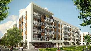 Young City etap VII