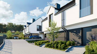 Betula Twin