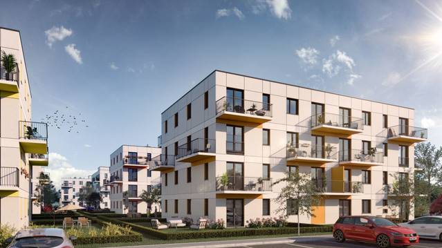 Zielone Zamienie IV
