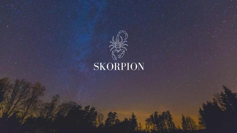 Znak Zodiaku Skorpion