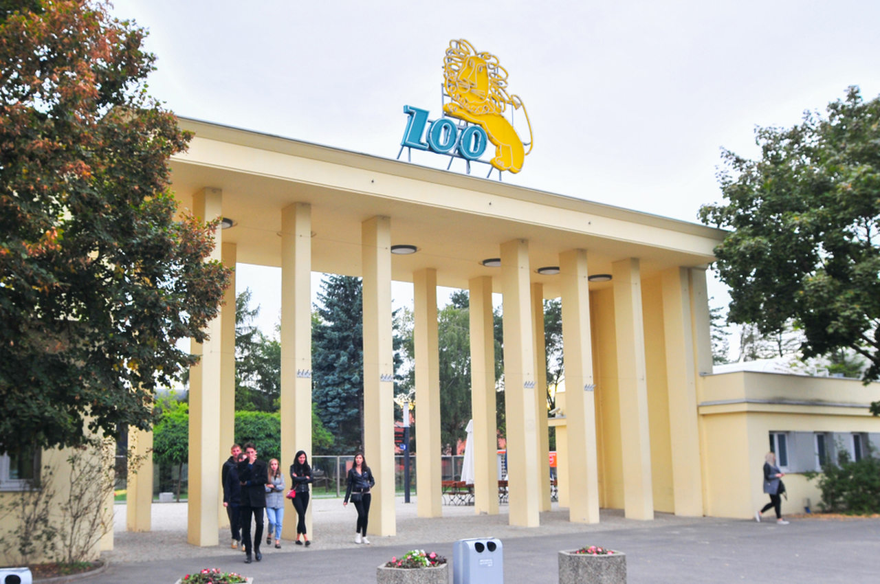 Zoo - Wrocław 