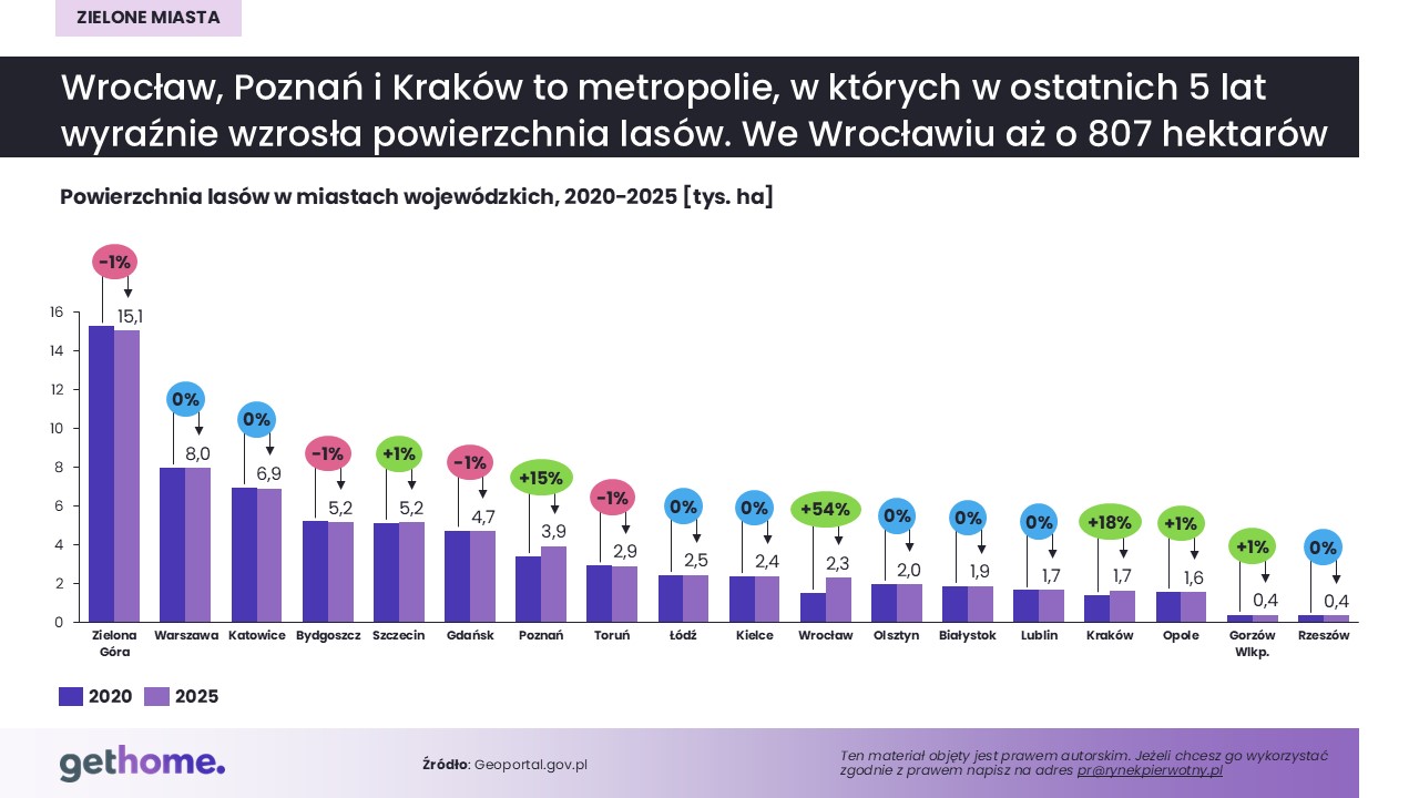 Jak zmieniała się powierzchnia lasów w polskich miastach w latach 2020-2025