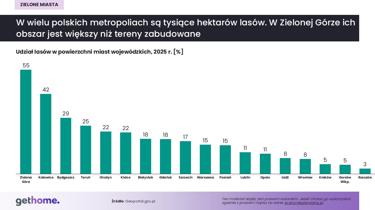 Powierzchnia lasów w polskich miastach