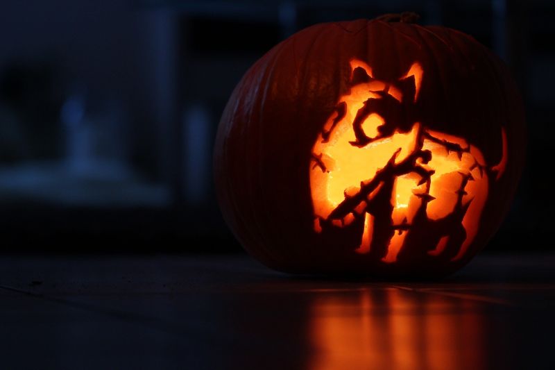 halloween - pies wydrążony w dyni